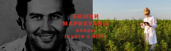 индика Лиски