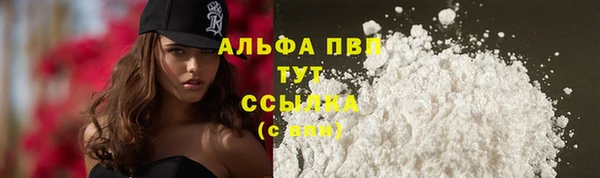 индика Лиски