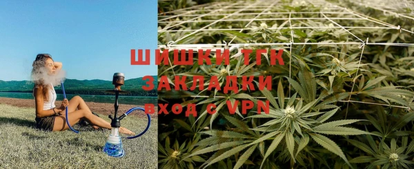 индика Лиски