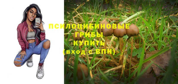 индика Лиски