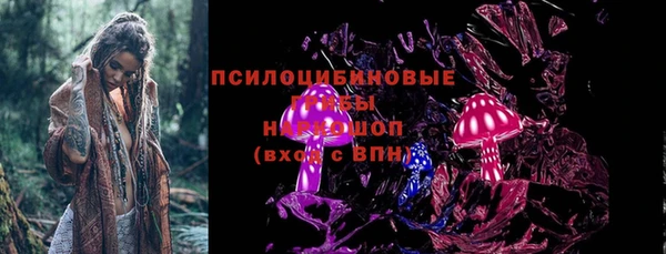 индика Лиски