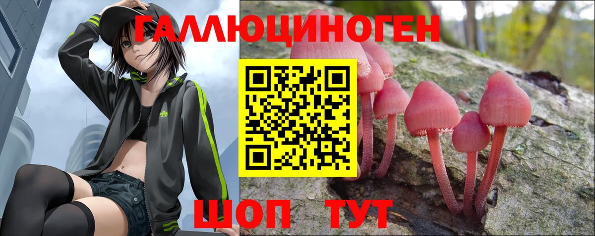 Псилоцибиновые грибы GOLDEN TEACHER Альметьевск